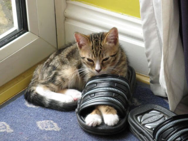 开云体育网站入口-世界杯比赛中的战术变化趋势，世界杯比赛分析